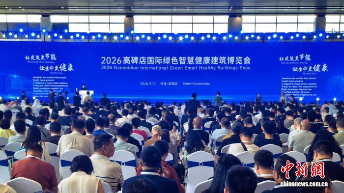 如何选择适合新手的麻将游戏？ - 麻将胡了21